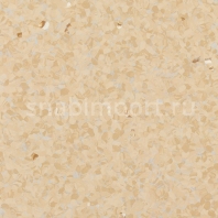 Токорассеивающий линолеум Tarkett IQ Granit SD 3096716