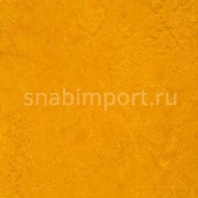 Натуральный линолеум Forbo Marmoleum decibel 312535 — купить в Москве в интернет-магазине Snabimport