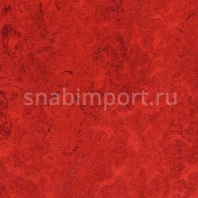 Натуральный линолеум Forbo Marmoleum Real 3127 — купить в Москве в интернет-магазине Snabimport