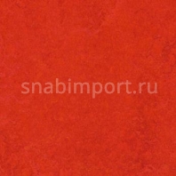 Натуральный линолеум Forbo Marmoleum Real 3131 — купить в Москве в интернет-магазине Snabimport