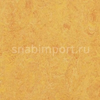 Натуральный линолеум Forbo Marmoleum Real 3225 — купить в Москве в интернет-магазине Snabimport