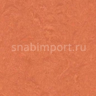 Натуральный линолеум Forbo Marmoleum Real 3243 — купить в Москве в интернет-магазине Snabimport