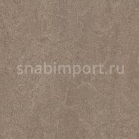 Натуральный линолеум Forbo Marmoleum Real 3246 — купить в Москве в интернет-магазине Snabimport