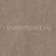 Натуральный линолеум Forbo Marmoleum decibel 324635 — купить в Москве в интернет-магазине Snabimport