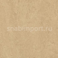 Натуральный линолеум Forbo Marmoleum Real 3250 — купить в Москве в интернет-магазине Snabimport