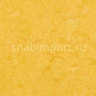 Натуральный линолеум Forbo Marmoleum Real 3251 — купить в Москве в интернет-магазине Snabimport