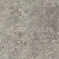Натуральный линолеум Forbo Marmoleum Marbled Vivace 3420