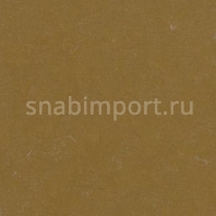 Натуральный линолеум Forbo Unexpected Nature 3564 — купить в Москве в интернет-магазине Snabimport