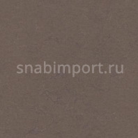 Натуральный линолеум Forbo Unexpected Nature 3568 — купить в Москве в интернет-магазине Snabimport