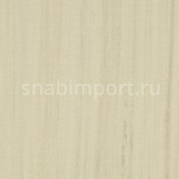 Натуральный линолеум Forbo Unexpected Nature 3575 — купить в Москве в интернет-магазине Snabimport