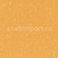 Натуральный линолеум Forbo Marmoleum Piano 3622 — купить в Москве в интернет-магазине Snabimport