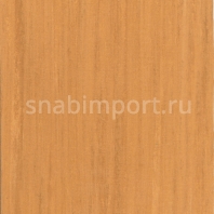 Натуральный линолеум Armstrong Lino Art Nature LPX 365-062 (2,5 мм) — купить в Москве в интернет-магазине Snabimport