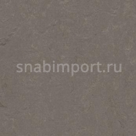 Натуральный линолеум Forbo Marmoleum Concrete 3705 — купить в Москве в интернет-магазине Snabimport