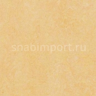 Натуральный линолеум Forbo Marmoleum Fresco 3846 — купить в Москве в интернет-магазине Snabimport