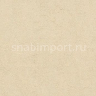 Натуральный линолеум Forbo Marmoleum Fresco 3858 — купить в Москве в интернет-магазине Snabimport