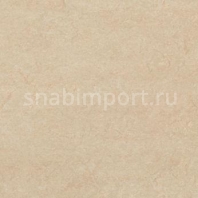 Натуральный линолеум Forbo Marmoleum Fresco 3861 — купить в Москве в интернет-магазине Snabimport