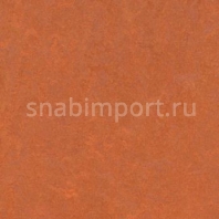 Натуральный линолеум Forbo Marmoleum Fresco 3870 — купить в Москве в интернет-магазине Snabimport