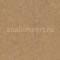 Натуральный линолеум Forbo Marmoleum Fresco 3876 — купить в Москве в интернет-магазине Snabimport