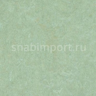Натуральный линолеум Forbo Marmoleum Fresco 3882 — купить в Москве в интернет-магазине Snabimport