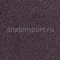 Ковровое покрытие Vorwerk SCANO 3G88 фиолетовый — купить в Москве в интернет-магазине Snabimport