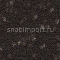 Иглопробивной ковролин Finett Vision Focus 405567 коричневый — купить в Москве в интернет-магазине Snabimport