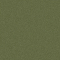 Ковровая плитка Interface Elevation III 4199017 Cipollino зеленый