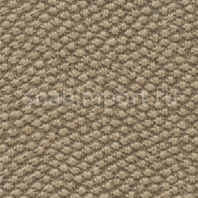 Ковровое покрытие Ulster Natural Choice Axminster Shale Fawn 41_20046 коричневый — купить в Москве в интернет-магазине Snabimport