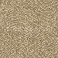 Ковровое покрытие Ulster Natural Choice Axminster Cove Fawn 41_20047 коричневый — купить в Москве в интернет-магазине Snabimport