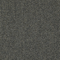 Ковровая плитка Interface Dolomite 4292004 Golden Beryl Серый — купить в Москве в интернет-магазине Snabimport