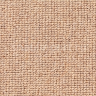 Ковровое покрытие Ulster Borneo Peanut 44_1153 Бежевый
