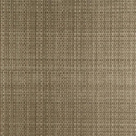 Виниловые обои Arte Sienna Oxyde Fibers 47045 Серый