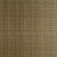 Виниловые обои Arte Sienna Oxyde Fibers 47054 коричневый