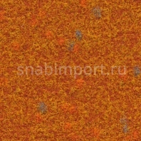 Иглопробивной ковролин Finett Vision Focus 505565 оранжевый — купить в Москве в интернет-магазине Snabimport
