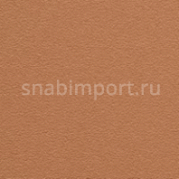 Виниловые обои BN International Suwide Scala BN 5354 коричневый — купить в Москве в интернет-магазине Snabimport