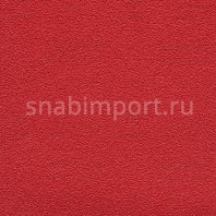 Виниловые обои Koroseal Desert Sand 5521-68 Красный — купить в Москве в интернет-магазине Snabimport