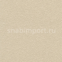 Виниловые обои Koroseal Desert Sand II 5621-30 Коричневый — купить в Москве в интернет-магазине Snabimport