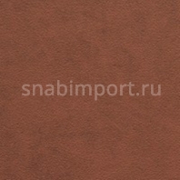 Виниловые обои BN International Suwide Impreza BN 5747 коричневый — купить в Москве в интернет-магазине Snabimport