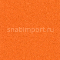 Виниловые обои Koroseal Desert Sand V 5921-57 Оранжевый — купить в Москве в интернет-магазине Snabimport