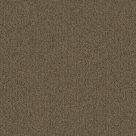 Ковровая плитка Standard Carpets Spectrum 595 Бежевый
