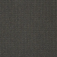 Ковровое покрытие Shaw BRIGHT WORK Flicker 5A174-27505 чёрный — купить в Москве в интернет-магазине Snabimport