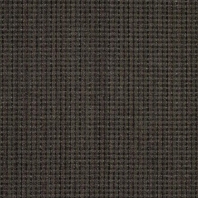 Ковровое покрытие Shaw ALTERNATURE Core 5A178-78750 чёрный