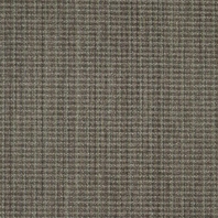 Ковровое покрытие Shaw ALTERNATURE Core 5A178-78761 Серый