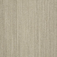 Ковровое покрытие Shaw ALTERNATURE Grounded 5A190-38103 Серый