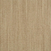 Ковровое покрытие Shaw ALTERNATURE Grounded 5A190-38109 Бежевый