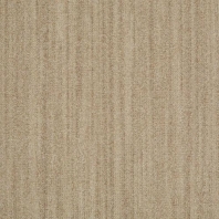 Ковровое покрытие Shaw ALTERNATURE Grounded 5A190-38144 Бежевый