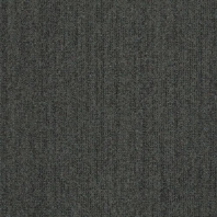Ковровое покрытие Shaw ALTERNATURE Grounded 5A190-38481 чёрный