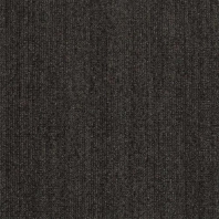 Ковровое покрытие Shaw ALTERNATURE Grounded 5A190-38505 чёрный