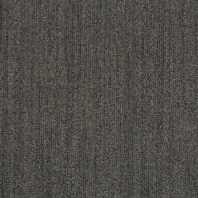 Ковровое покрытие Shaw ALTERNATURE Grounded 5A190-38595 чёрный