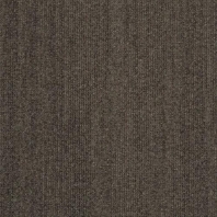 Ковровое покрытие Shaw ALTERNATURE Grounded 5A190-38750 чёрный — купить в Москве в интернет-магазине Snabimport