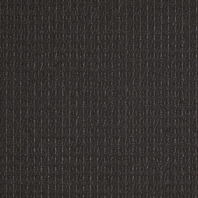Ковровое покрытие Shaw VIEW Modify 5A204-03505 чёрный — купить в Москве в интернет-магазине Snabimport